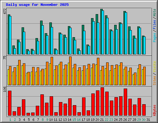 Daily usage for November 2025