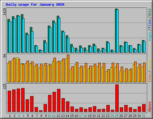 Daily usage for January 2026