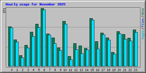 Hourly usage for November 2025