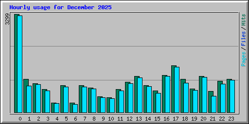 Hourly usage for December 2025