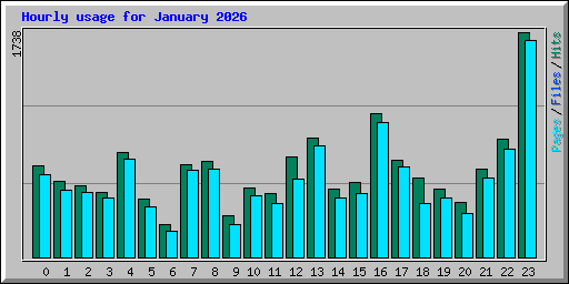 Hourly usage for January 2026